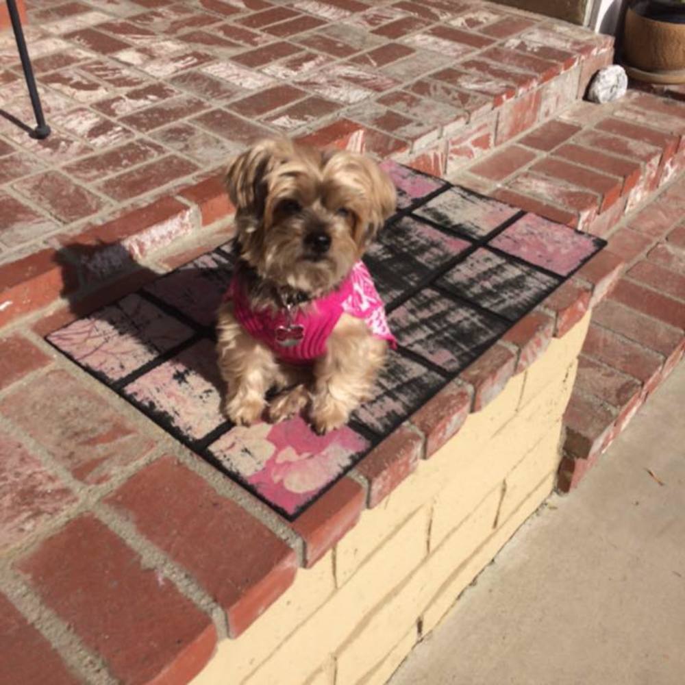 Meet your Posher, Randy